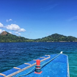 Conquering Fears in Coron