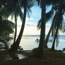 Family Holiday Update